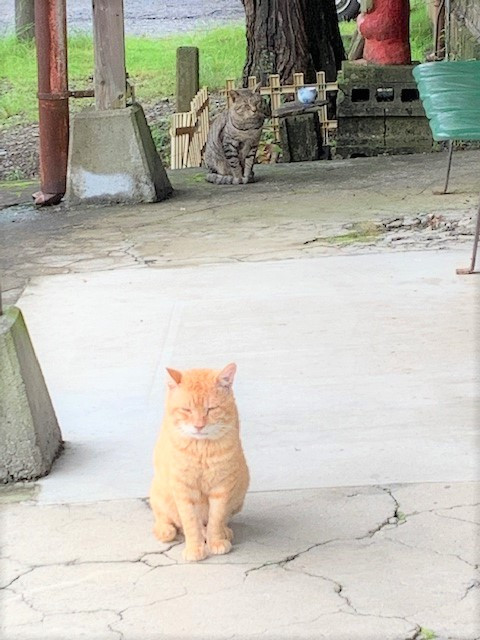 経済か感染拡大防止か？